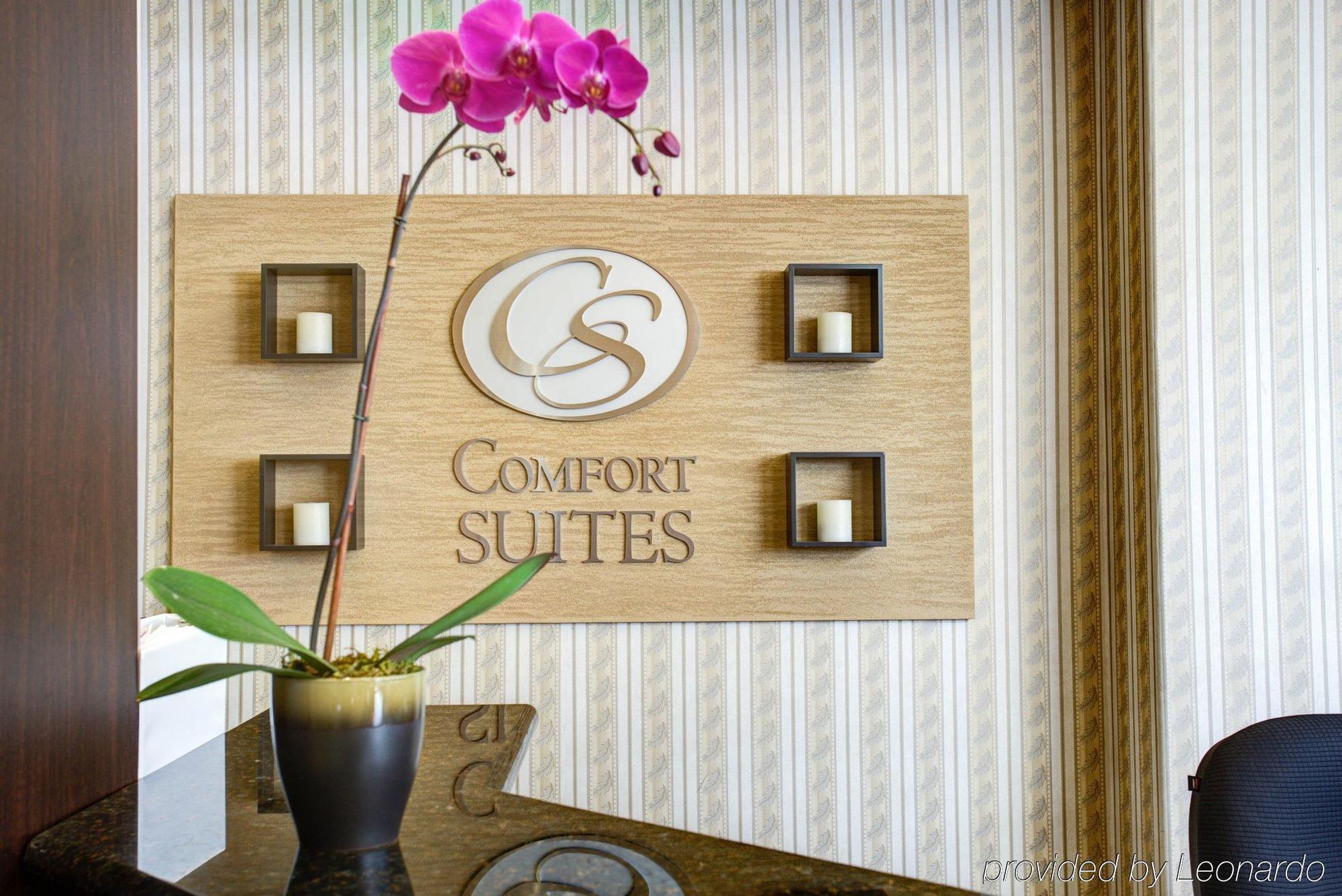 Comfort Suites San Jose Airport Zewnętrze zdjęcie